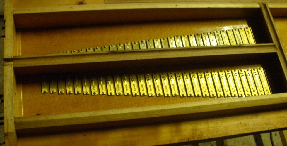 Anches d'harmonium