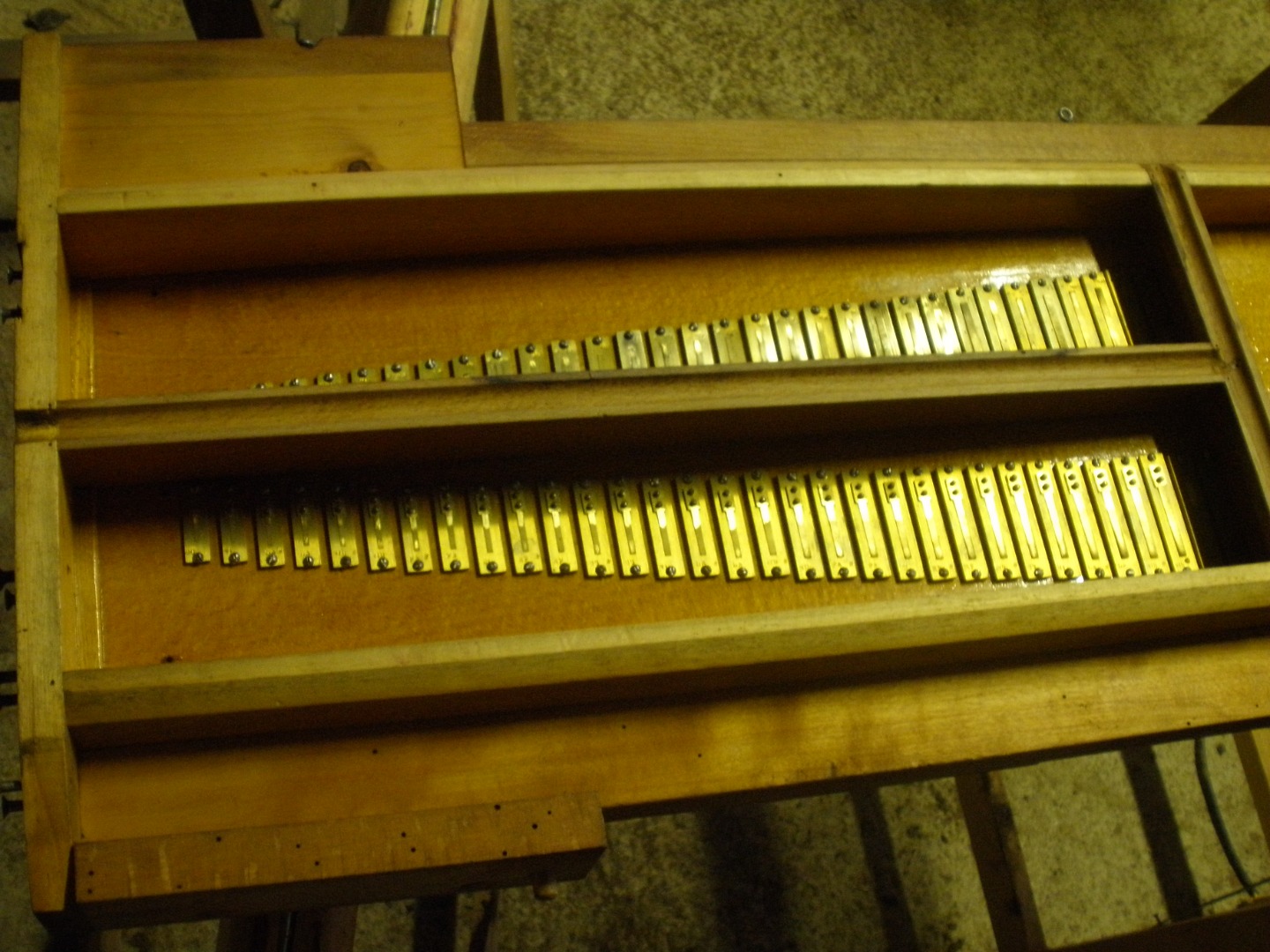 Anches d'harmonium