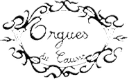 Logo calligraphié Orgues du Causse entouré d'une bordure ornementale de feuilles et volutes noires sur fond blanc.